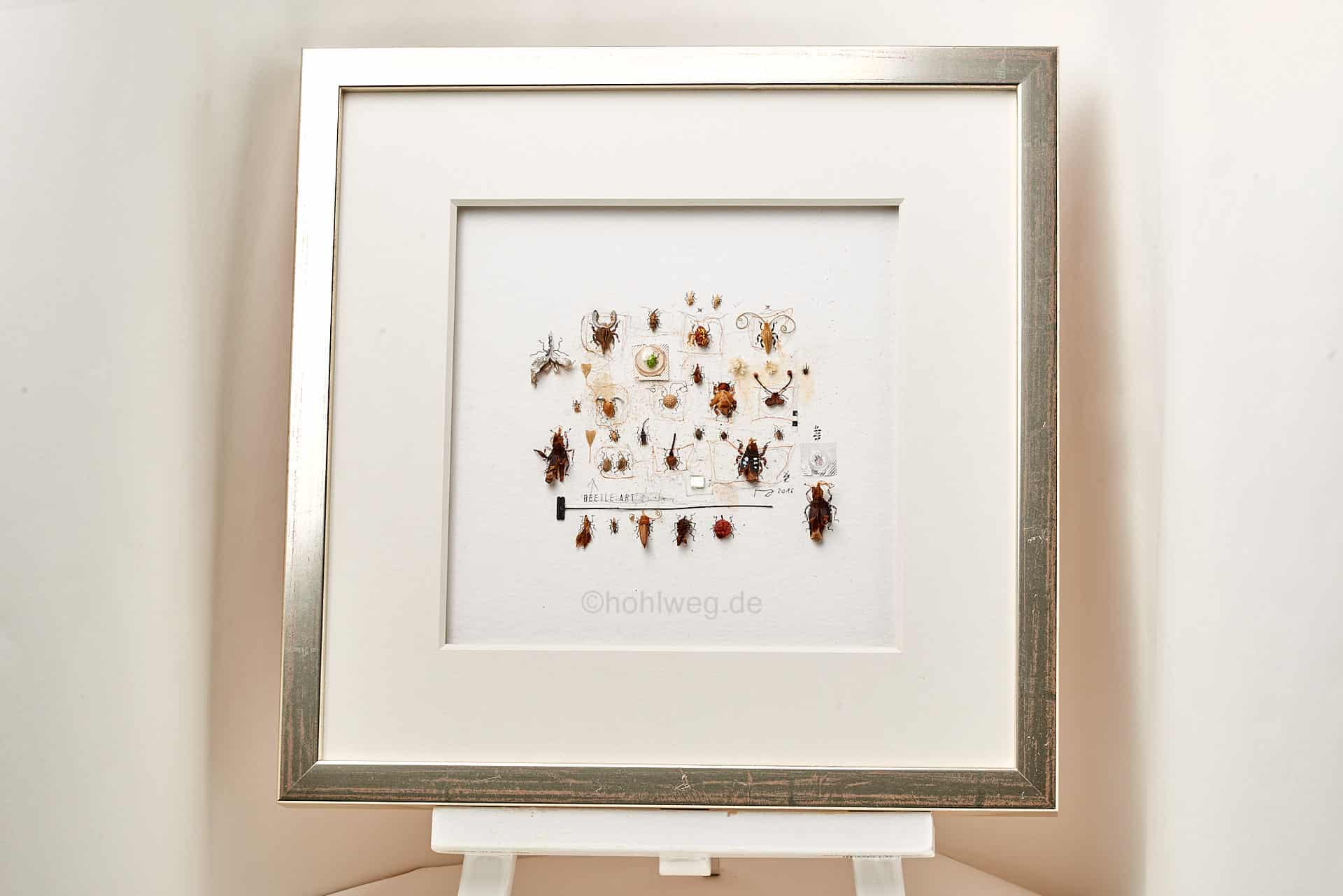 Ausstellung … natur?!