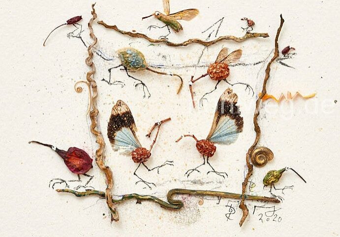 Beeren und Knospen und Papierreste und Insektenfluegel. 
